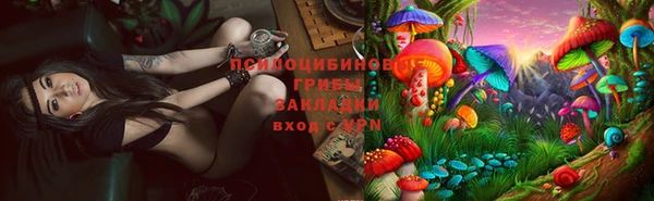 героин Алексин