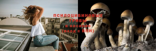МДПВ Армянск