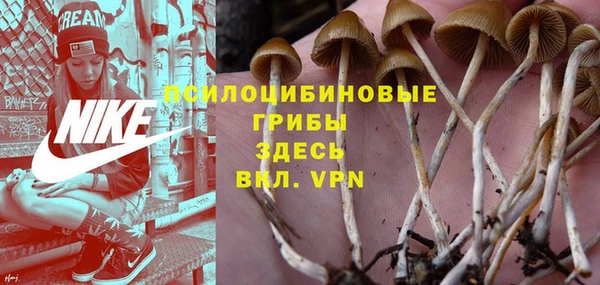 соль курить ск Аркадак