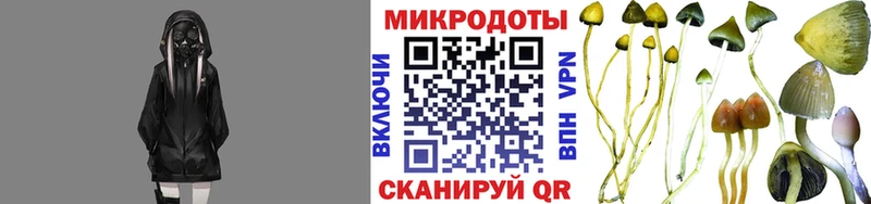Галлюциногенные грибы Magic Shrooms  Новороссийск 